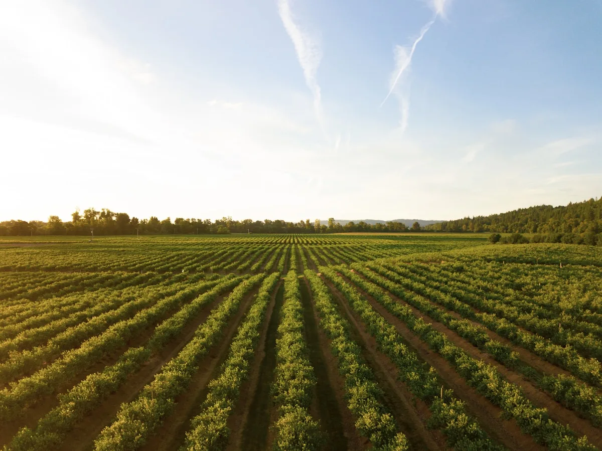 Tanah Strategis Pinggir Jalan Utama Tangerang Selatan
